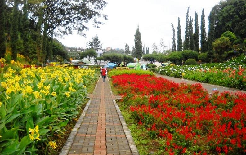 taman-bunga